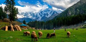 Pakistan’s Majestic Northern Jewel Awakens To Surge In Tourism