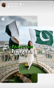 Celebrities Celebrate Independence Day 2024